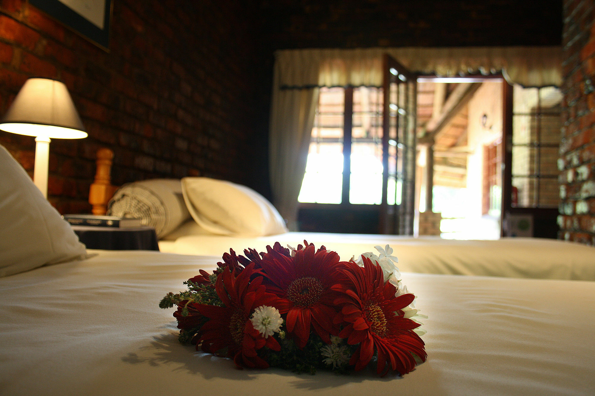 Storms River Guest Lodge Stormsrivier Exterior photo